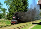 2021.09.25 JHMD U46.101 Jindřichův Hradec - Nová Bystřice (26)